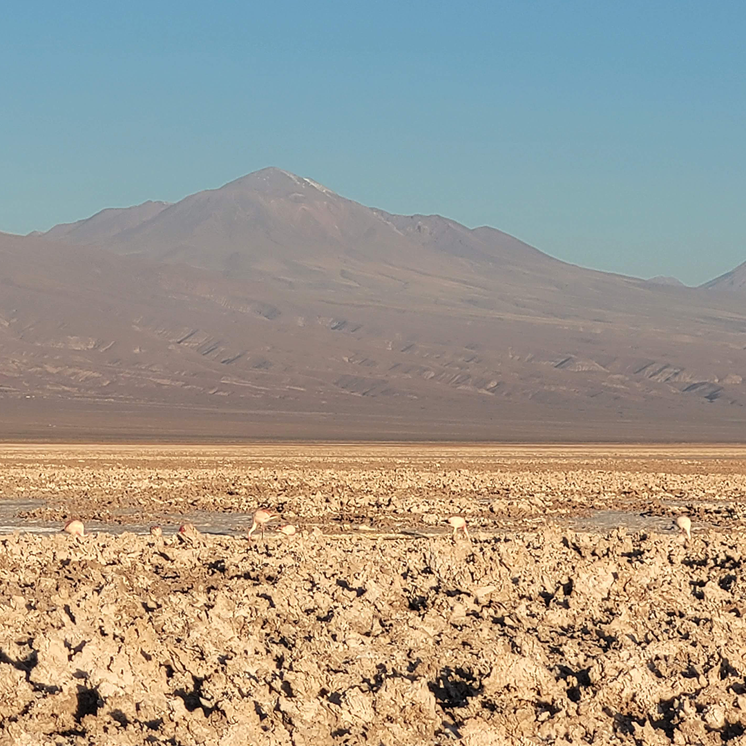 Piedras Rojas e Lagunas Altiplânicas - Explore as cores intensas do deserto e a grandiosidade das montanhas salgadas. - Imagem 2
