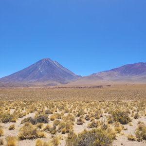 Salar de Tara - Uma imersão na natureza extrema do altiplano andino.